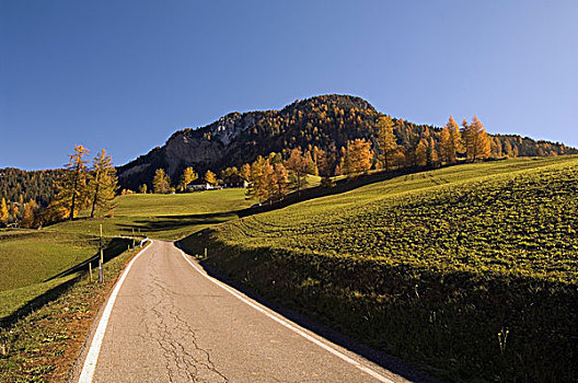 道路,通过,风景,白云岩,特兰提诺阿尔托阿迪杰,意大利