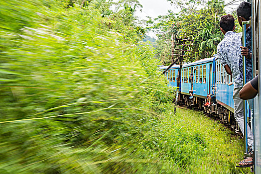 列车,旅途,茂密,树林,乘客,站立,室内,移动,蓝色