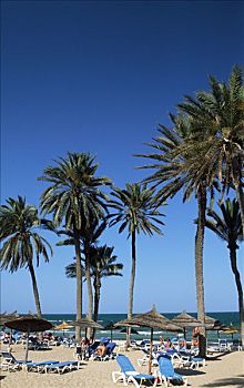 海滩,突尼斯,非洲