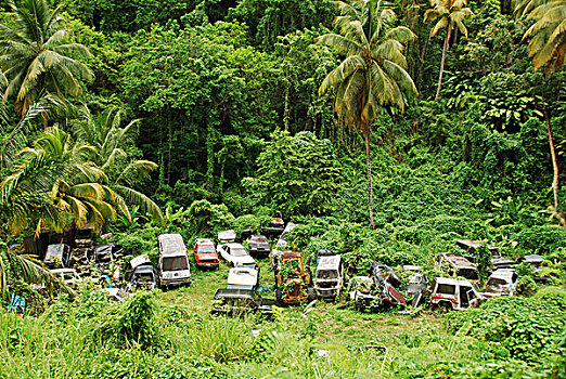 dominica,morne,trois,pitons,car,cemetery