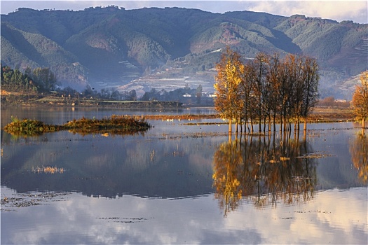 中国云南会泽念湖光影树风景