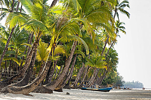 棕榈海滩,那布利海滩,海岸,孟加拉海湾,缅甸,亚洲