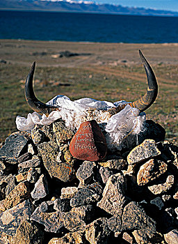 西藏纳木错湖畔玛尼堆上的牦牛角