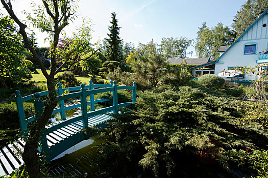 小,绿色,步行桥,上方,春天,园池