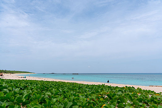 海滩,冲绳,日本