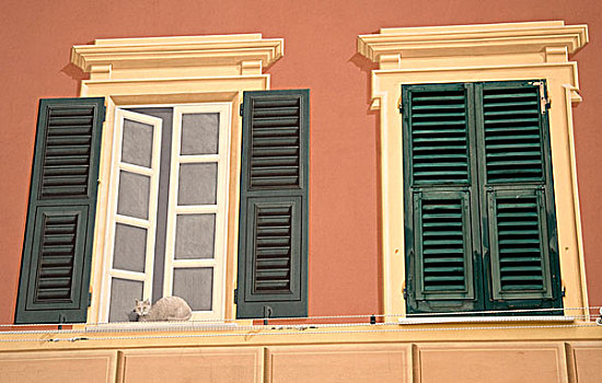 意大利,卡莫利,窗,涂绘,风格,装饰,一个,窗户