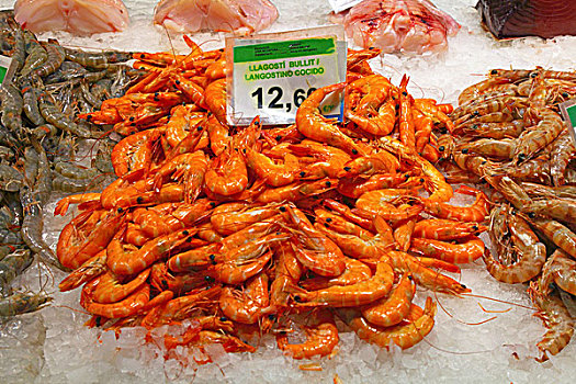 宽沟对虾,市场货摊,巴塞罗那,西班牙