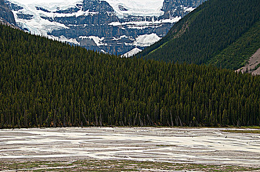 河,冰河,背景,山谷,山,碧玉国家公园,艾伯塔省,加拿大