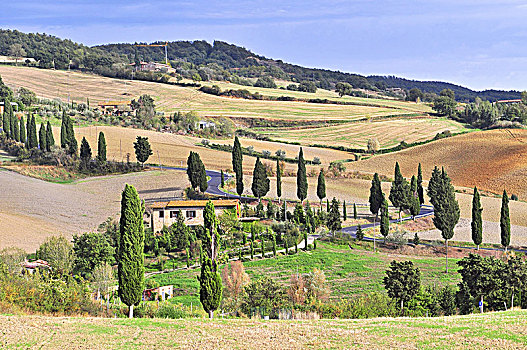 乡村,山谷,靠近,皮恩扎,托斯卡纳,意大利
