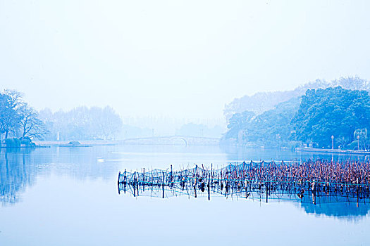 杭州,西湖,西泠桥,清晨