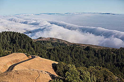 俯视,山谷,加利福尼亚,美国