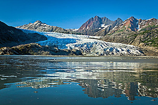 景色,冰河,反射,水,小湾,冰河湾国家公园,保存,东南阿拉斯加,夏天