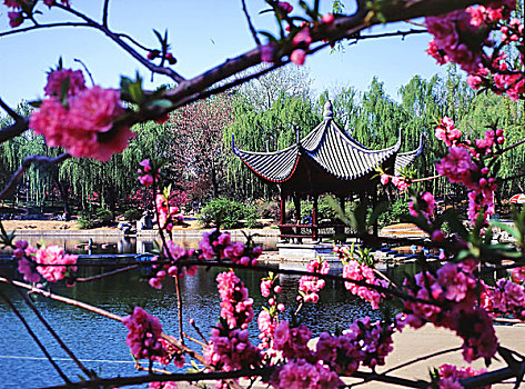 北京西城区陶然亭公园