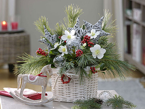 圣诞节,花束,嚏根草属,松属