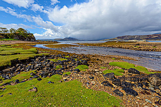 苔藓,遮盖,岩石,海岸线,河,流动,海洋,湾,斯凯岛,苏格兰,英国