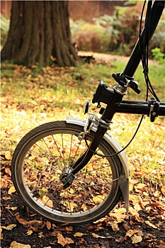 折叠,自行车,公园