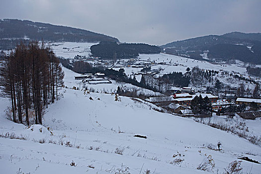 雪乡,雪村,吉林,临江市,村庄,山村,乡村,冬季,雪野,寒冷,农家,接待,旅游,松岭,东北,风情