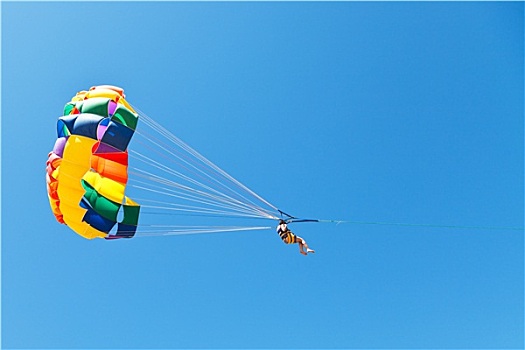 女人,帆伞运动,降落伞,蓝天