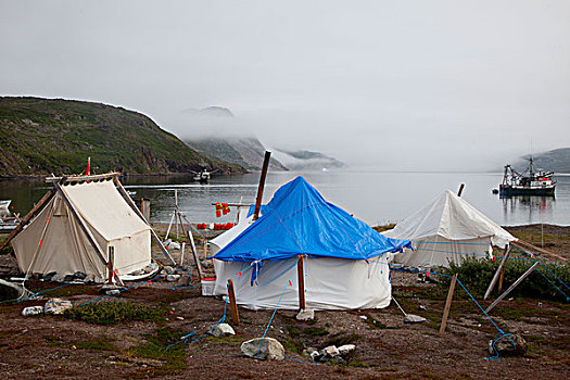 因纽特人,帐篷,公园,加拿大,露营,湾,拉布拉多犬