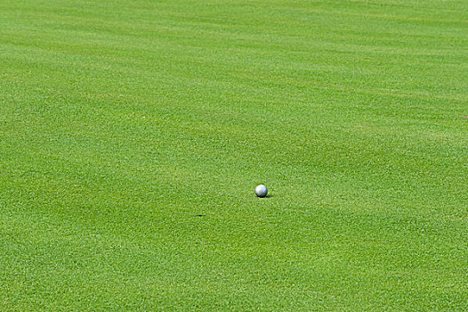 银,高尔夫,球,绿色