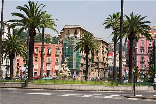 棕榈树,正面,建筑,广场,那不勒斯,那不勒斯省,坎帕尼亚区,意大利