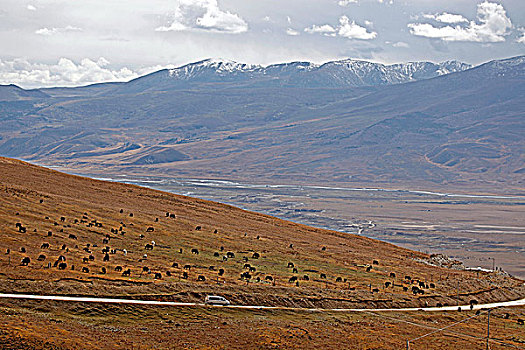 藏区国道
