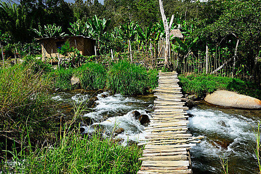 木桥,上方,河,小,乡村,高地,戈罗卡,巴布亚新几内亚,大洋洲