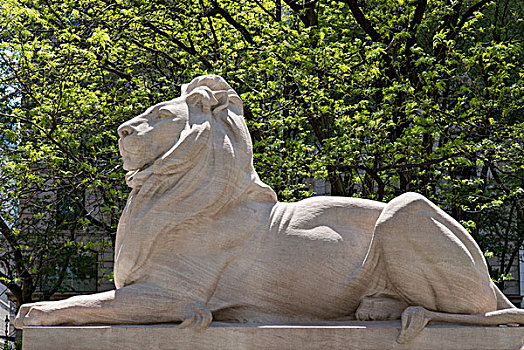 雕塑,狮子,纽约公共图书馆,市中心,曼哈顿,纽约,美国