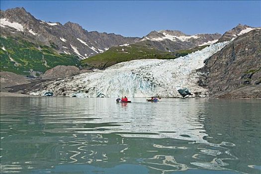 漂流,湾,冰河,背景,海洋公园,威廉王子湾,阿拉斯加