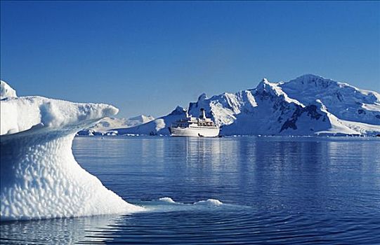南极,南极半岛,乐园,港口,发现,围绕,顶峰,冰山