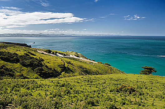 绿色,牧场,海岸,青绿色,蓝色海洋,奥塔哥地区,南岛,新西兰,大洋洲