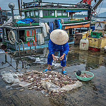 鱼市,木质,码头,越南