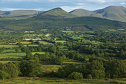 风景,山,蒂珀雷里郡,爱尔兰
