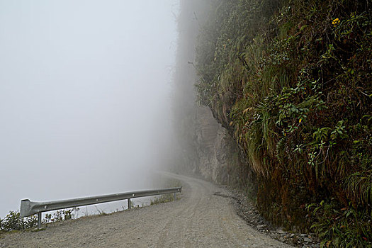 死亡,道路,雾,北方,玻利维亚,南美