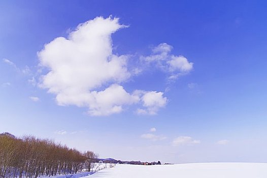 雪原,漂浮,云