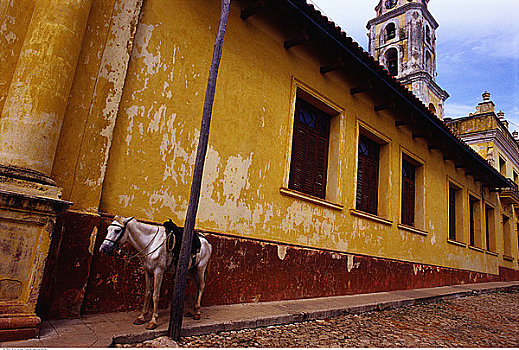 马,街上,靠近,建筑,特立尼达,古巴