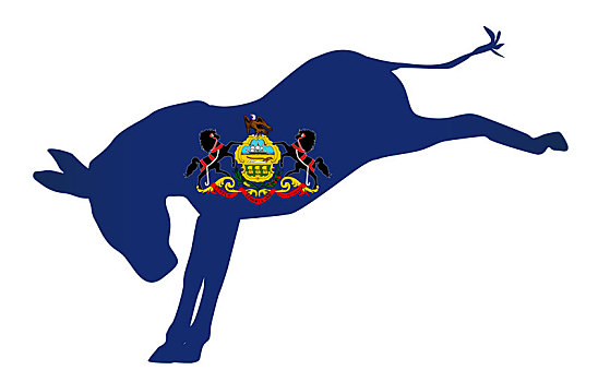 宾夕法尼亚,民主党,驴,旗帜