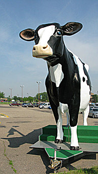 明尼苏达,路边,泽西种乳牛,奶牛,雕塑