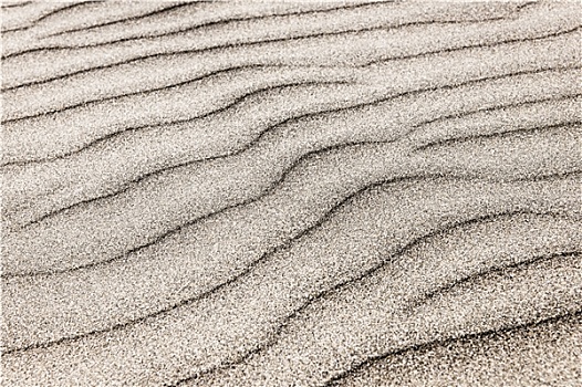 沙子,波纹,背景