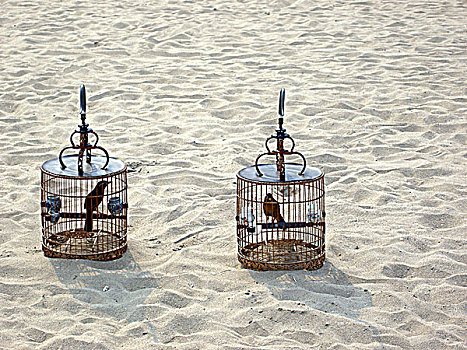 沙滩上的鸟笼