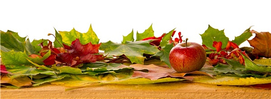 秋天,背景,彩色,叶子,苹果