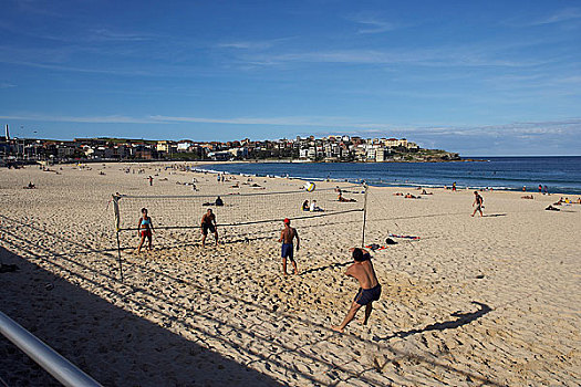 人,玩,排球,邦迪海滩,悉尼,澳大利亚