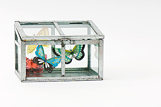 假的,蝴蝶,室内,特写,玻璃,盒子
