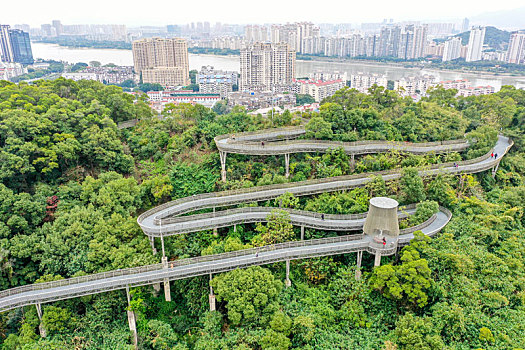 航拍福州福道,福州城市森林步道,金牛山公园西侧段