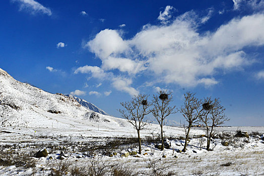 雪后