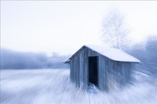 老,小屋,阿拉斯加,美国,冬天