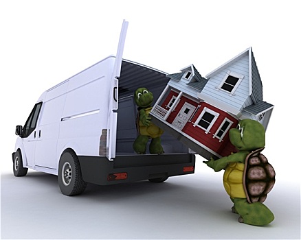 龟,装载,房子
