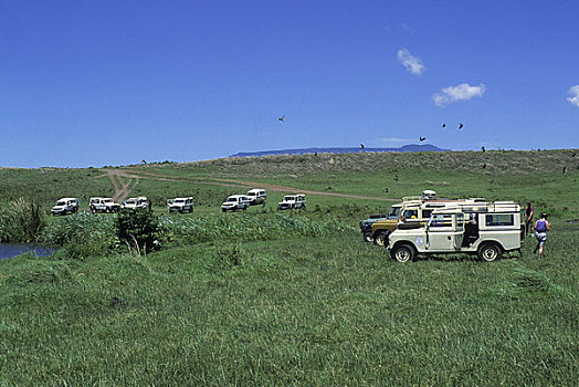 坦桑尼亚,恩戈罗恩戈罗火山口,午餐,斑点,游客,黑色,风筝,上方