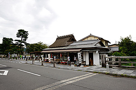 日本,京都,岚山