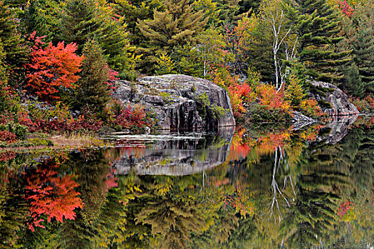 秋天,反射,河,萨德伯里,地区,安大略省,加拿大
